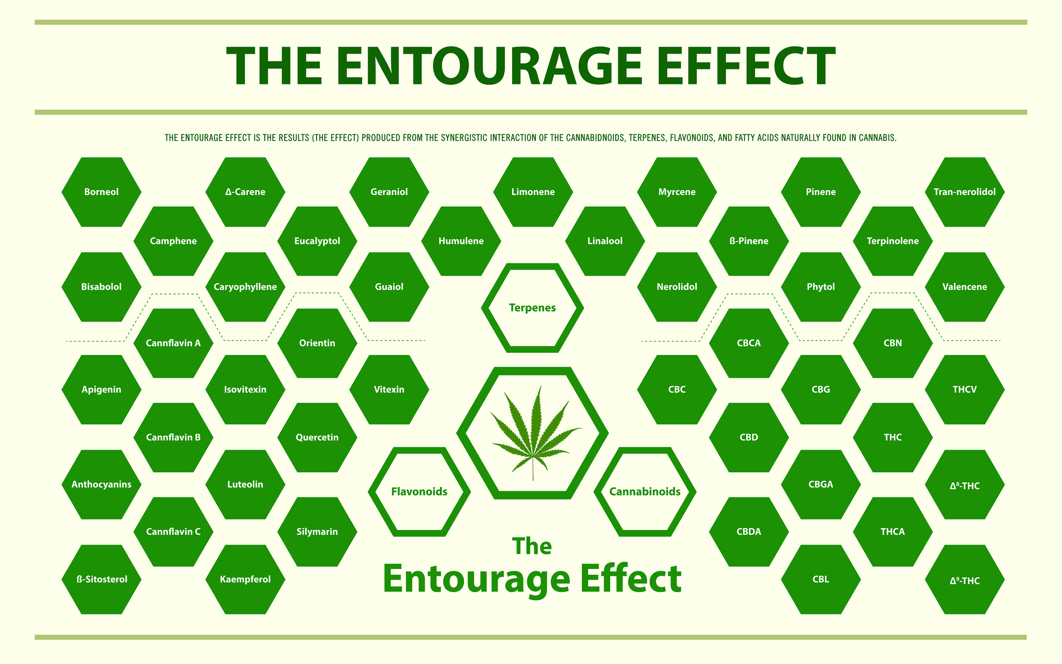 Image showing the entourage effect,